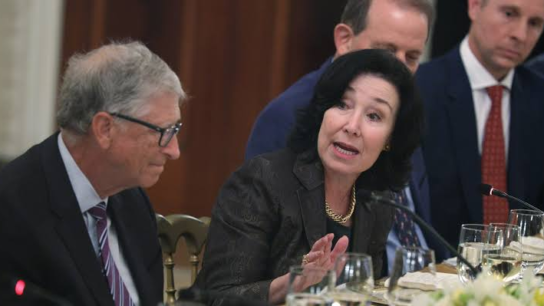 peter lynch and safra catz